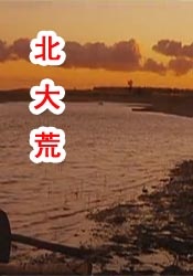 夜间福利视频
